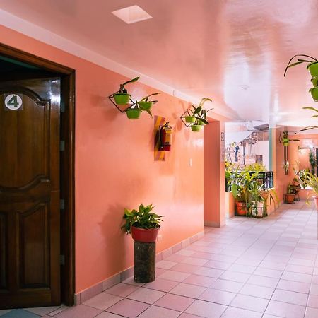 Hotel Alpa Kasa Chachapoyas Extérieur photo